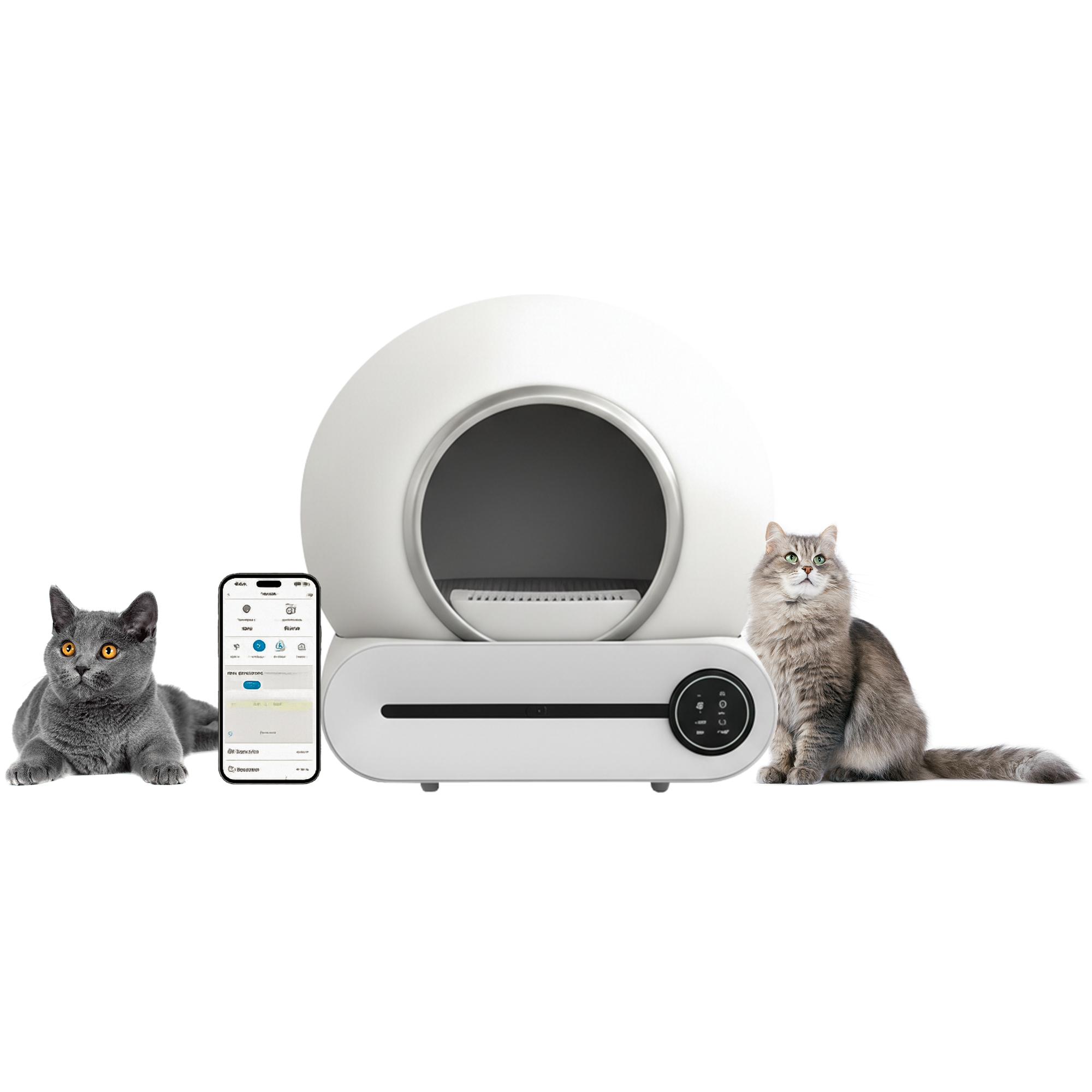 Pet Accessories Collection